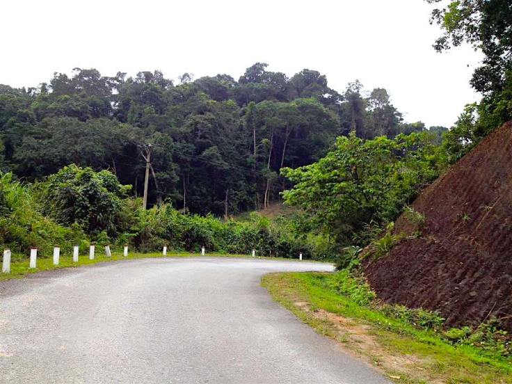 1464641_10154081580230087_4070958057175439799_n