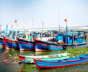 10345729_10154100975455087_531825279217898442_n