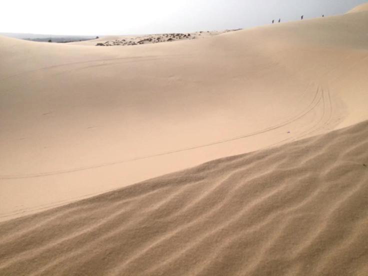 12321523_10154135356565087_7140146550294961626_n