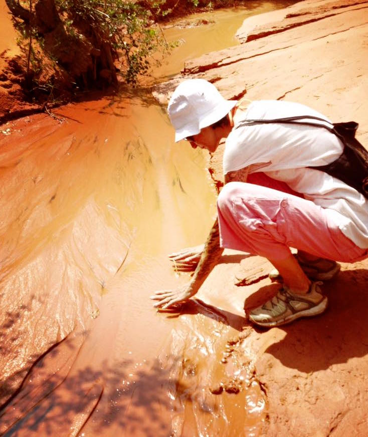 12512744_10154135361190087_8087891372417492701_n