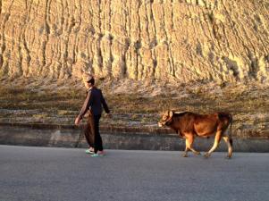 12803116_10154051167720087_6751675930576551403_n