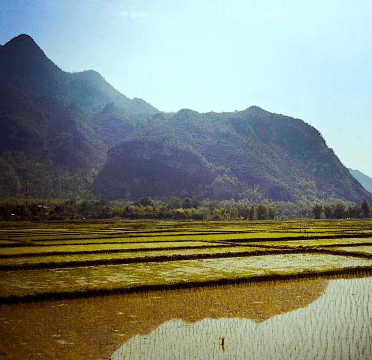 screen-shot-2017-02-15-at-11-46-44-am