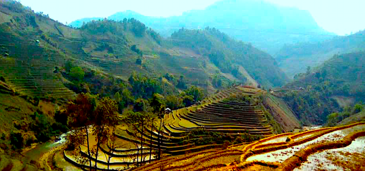 screen-shot-2017-02-15-at-12-01-42-pm