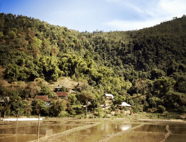 screen-shot-2017-02-15-at-12-13-11-pm